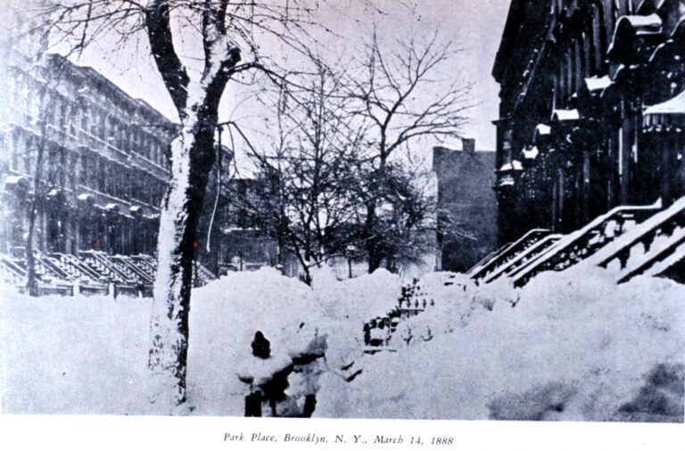 The Climatron Chronicles