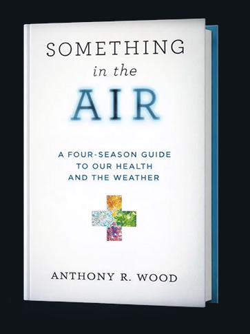 something in the air - by anthony wood